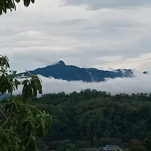 Jily Homestay